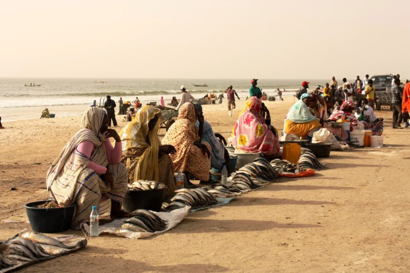 Fish_market_in_Nouakchott_-_Mauritania