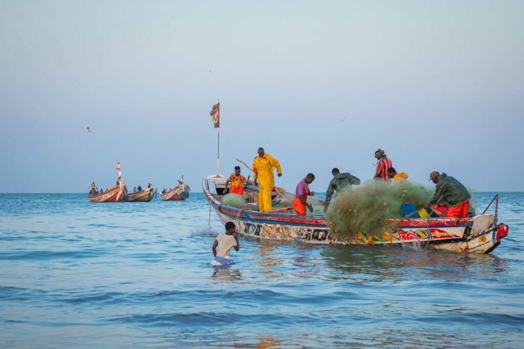 Jokin haisee Gambian kalastusteollisuudessa